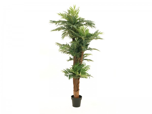 EUROPALMS Areca Palme, Kunstpflanze, 170cm // EUROPALMS Areca palm, artificia…