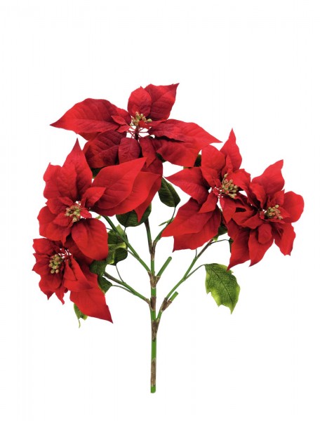 EUROPALMS Weihnachtsstern-Busch, rot, 60cm // EUROPALMS Poinsettia bush, red,…