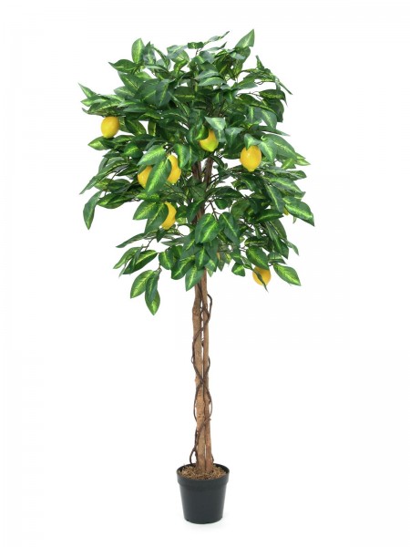 EUROPALMS Zitronenbaum, Kunstpflanze, 150cm // EUROPALMS Lemon tree, artifici…