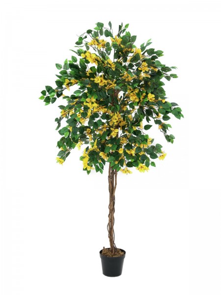 EUROPALMS Bougainvillea, Kunstpflanze, gelb, 180cm // EUROPALMS Bougainvillea…