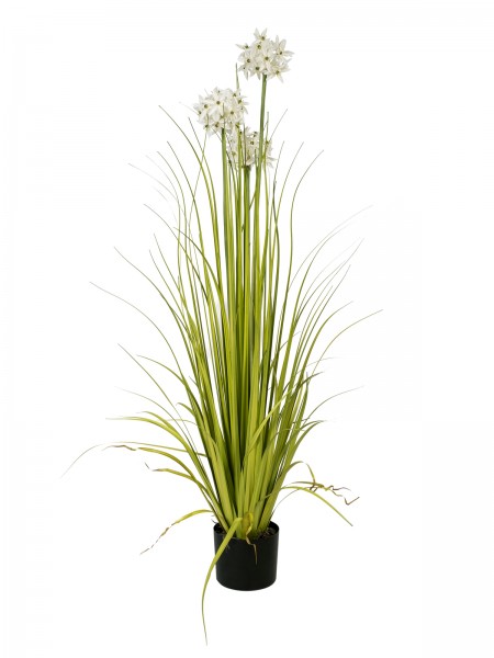 EUROPALMS Alliumgras, Kunstpflanze, weiß, 120 cm // EUROPALMS Allium grass, a…