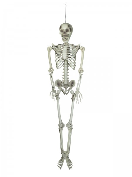 EUROPALMS Halloween Skelett, 150 cm // EUROPALMS Halloween Skeleton, 150 cm