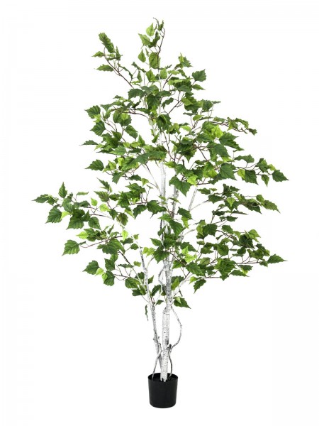 EUROPALMS Birkenbaum, Kunstpflanze, 150cm // EUROPALMS Birch Tree, artificial…