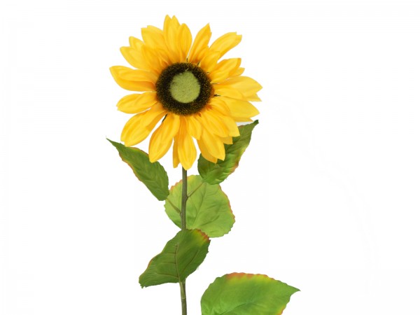 EUROPALMS Sonnenblume, Kunstpflanze, 70cm // EUROPALMS Sunflower, artificial …