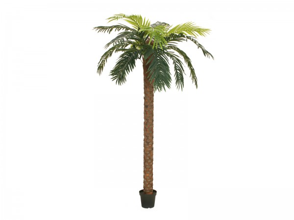 EUROPALMS Phönix Palme deluxe, Kunstpflanze, 250cm // EUROPALMS Phoenix palm …