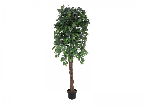 EUROPALMS Ficus-Benjamini Multi-Stamm, Kunstpflanze, 180cm // EUROPALMS Ficus…