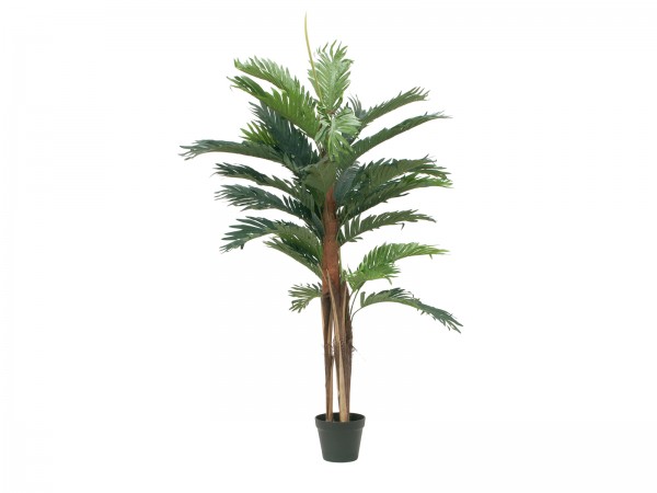EUROPALMS Kentia Palme, Kunstpflanze, 120cm // EUROPALMS Kentia palm tree, ar…