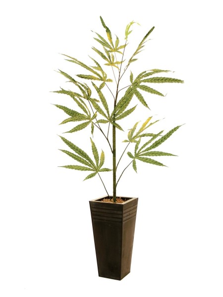 EUROPALMS Hanfpflanze (Kunstpflanze), 100cm
