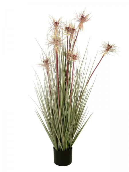 EUROPALMS Sunny-Gras, Kunstpflanze, 120 cm // EUROPALMS Sunny grass, artifici… EUROPALMS Sunny-Gras, Kunstpflanze, 120 cm // EUROPALMS Sunny grass, artifici…