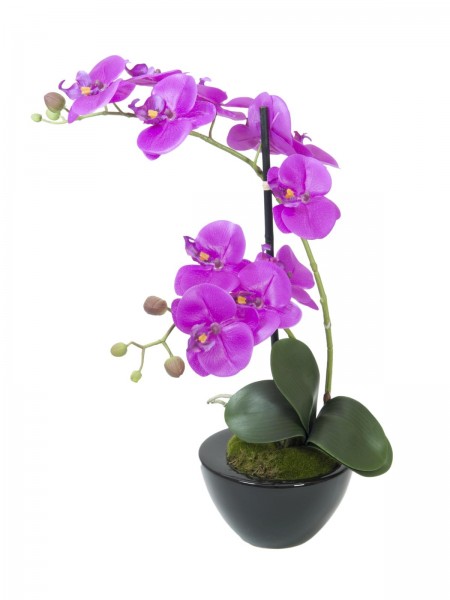 EUROPALMS Orchideen-Arrangement 4, künstlich // EUROPALMS Orchid arrangement …