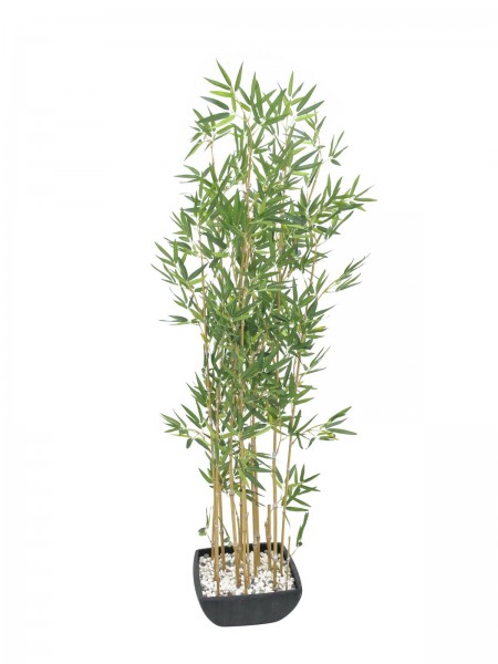 EUROPALMS Zierbambus in Dekoschale, künstlich, 150cm // EUROPALMS Bamboo in b…