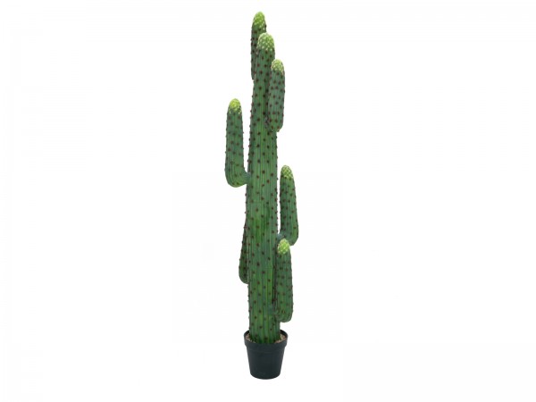 EUROPALMS Mexikanischer Kaktus, Kunstpflanze, grün, 173cm // EUROPALMS Mexica…