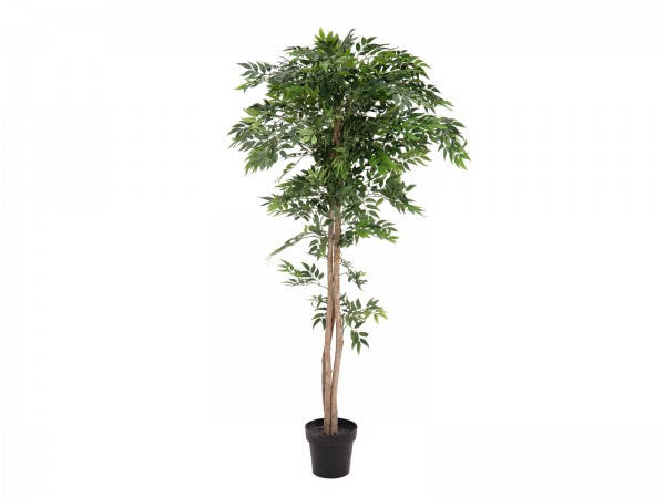 EUROPALMS Ficus Longifolia, Kunstpflanze, 165cm // EUROPALMS Ficus longifolia…