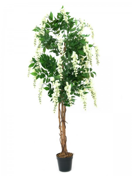 EUROPALMS Goldregenbaum, Kunstpflanze, weiß, 180cm // EUROPALMS Wisteria, art…