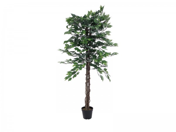 EUROPALMS Ficus-Benjamini Multi-Stamm, Kunstpflanze, 150cm // EUROPALMS Ficus…