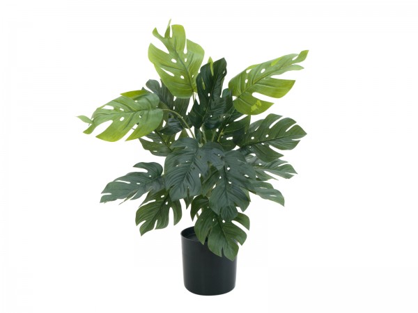 EUROPALMS Splitphilodendron, Kunstpflanze, 38cm // EUROPALMS Split philo plan…