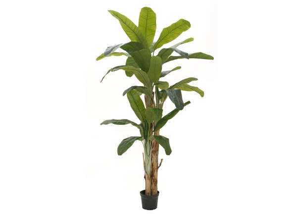 EUROPALMS Bananenbaum, Kunstpflanze, 240cm // EUROPALMS Banana tree, artifici…