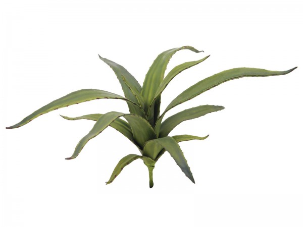 EUROPALMS Aloe (EVA), künstlich, grün, 66cm // EUROPALMS Aloe (EVA), artifici…