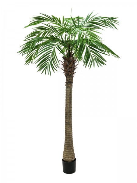 EUROPALMS Phönixpalme luxor, Kunstpflanze, 240cm // EUROPALMS Phoenix palm tr…