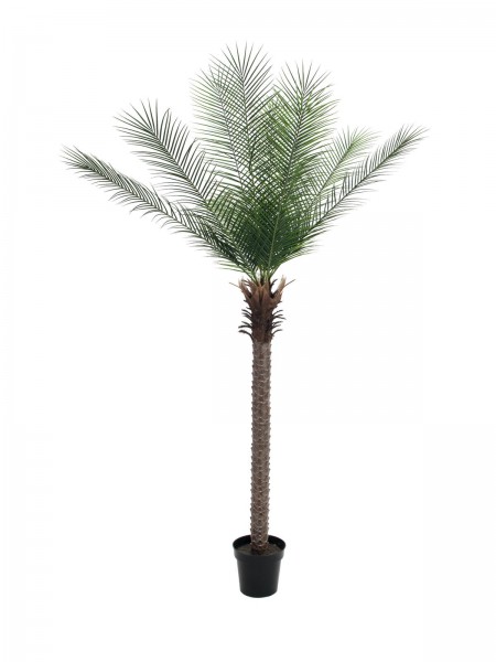 EUROPALMS Phönix Palme deluxe, Kunstpflanze 220cm // EUROPALMS Phoenix palm d…