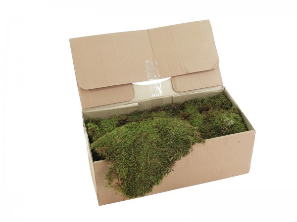 EUROPALMS Moos zum Dekorieren, ca. 1,5-2,0kg // EUROPALMS Decoration moss, ca…