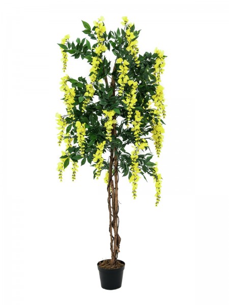 EUROPALMS Goldregenbaum, Kunstpflanze, gelb, 150cm // EUROPALMS Wisteria, art…