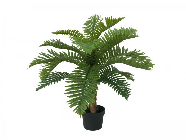 EUROPALMS Cycas Palme, Kunstpflanze, 70cm // EUROPALMS Cycas palm tree, artif…