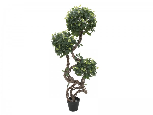 EUROPALMS Ficus Multi Spiralstamm, Kunstpflanze, 160cm // EUROPALMS Ficus spi…