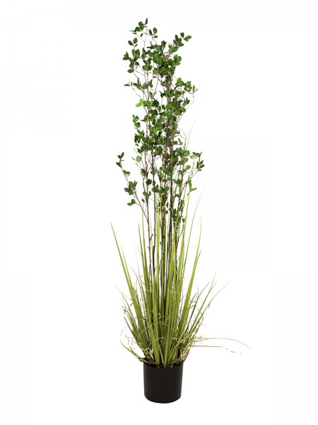 EUROPALMS Immergrünstrauch mit Gras, Kunstpflanze, 182 cm // EUROPALMS Evergr…