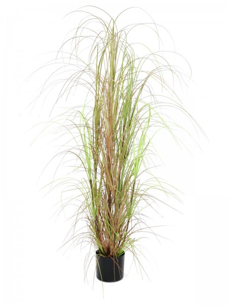 EUROPALMS Grasbusch, künstlich, 150cm // EUROPALMS Grass bush, artificial, 150cm