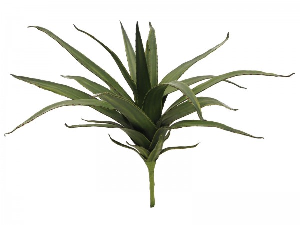 EUROPALMS Aloe (EVA), künstlich, grün, 50cm // EUROPALMS Aloe (EVA), artifici…
