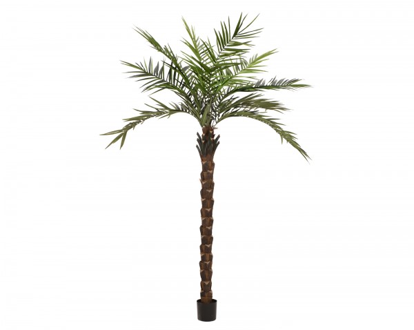 EUROPALMS Kentia Palme deluxe, Kunstpflanze 300cm // EUROPALMS Kentia palm tr…