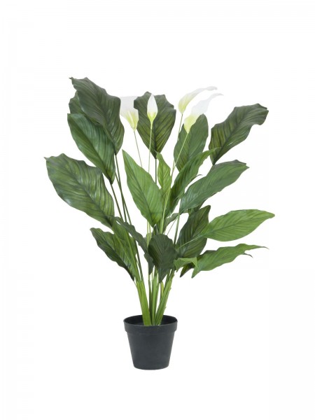 EUROPALMS Spathiphyllum deluxe, künstlich, 83cm // EUROPALMS Spathiphyllum de…