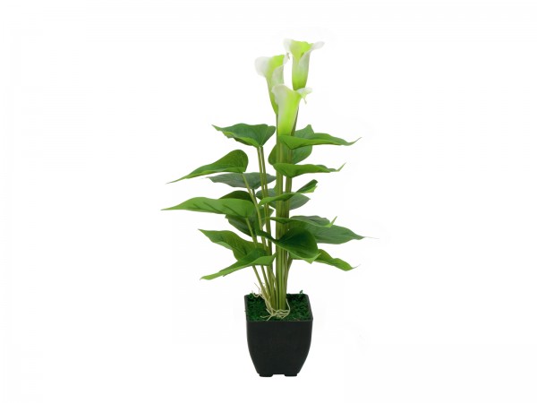 EUROPALMS Calla mini, Kunstpflanze, weiß, 43cm // EUROPALMS Mini Calla, artif…